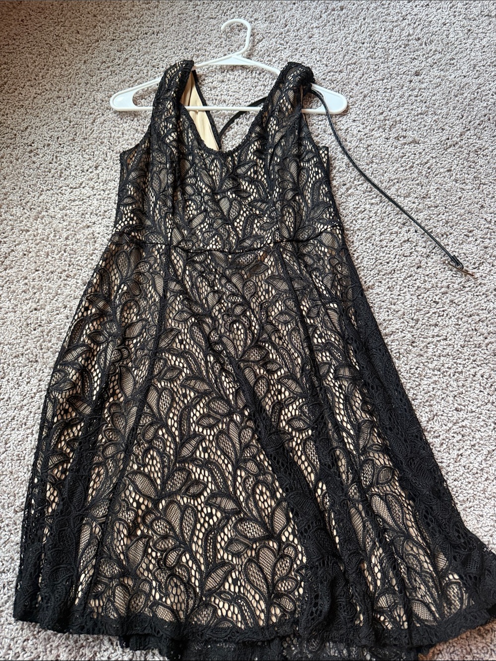 Black Lace Overlay A-Line Dress with Nude Lining
